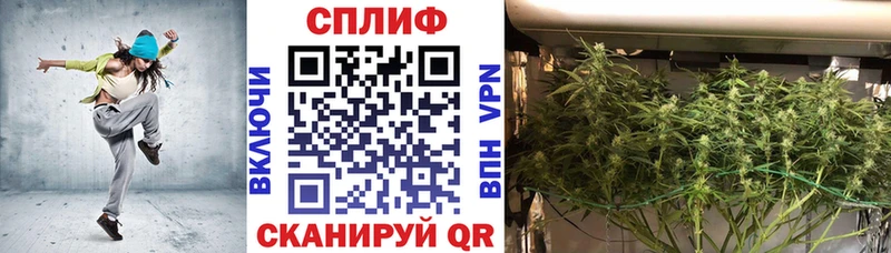 Купить где  Оренбург  Марихуана OG Kush 